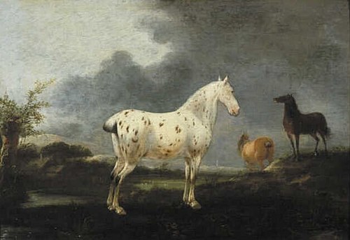 Landscape with a dapple grey horse, 1667, Pieter Wouwerman
