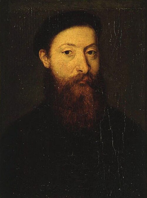 Portrait d'homme, , Corneille de Lyon