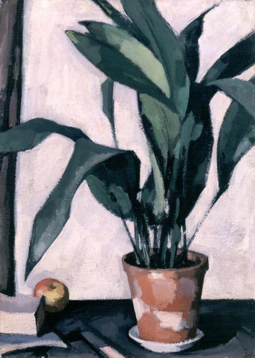 Aspidistra, 1927, Samuel Peploe