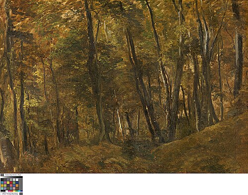 Bos van Terhulpen, 1814, Théodore Fourmois