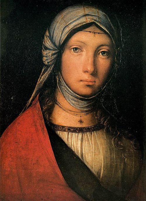 Gitane, 1504, Boccaccio Boccaccino