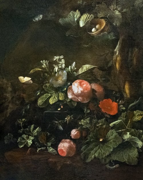 Rosiers, fleurs, insectes et serpents, 1700, Elias van den Broeck
