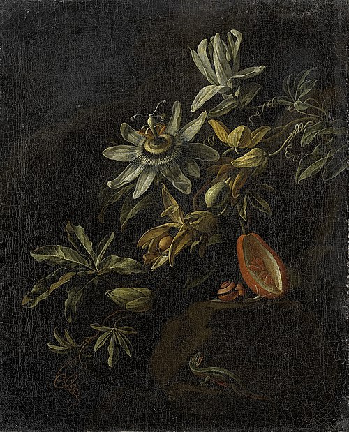 Still Life with Passionflowers, 1690, Elias van den Broeck