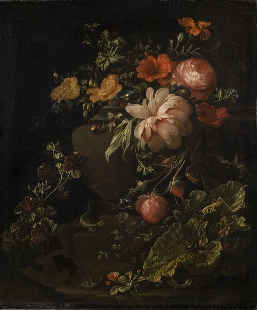 Flowers, Lizards and Insects, , Elias van den Broeck