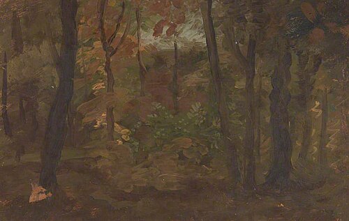 A View in a Wood, 1847, David Octavius Hill