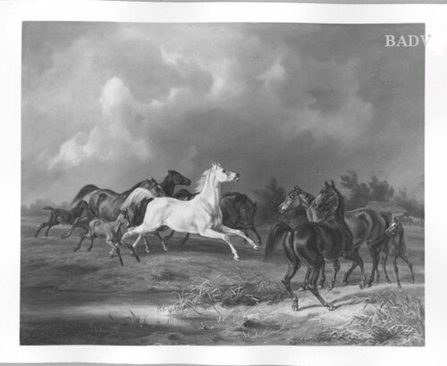 Horses, 1846, Albrecht Adam