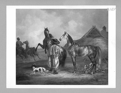 Training of horses (portraits), 1844, Albrecht Adam