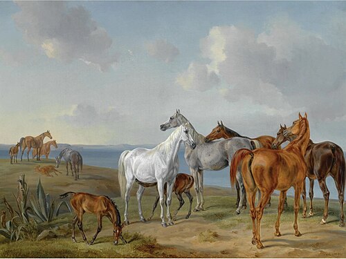 Arabian Horses at Pasture, 1841, Albrecht Adam