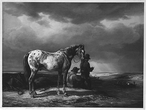 A mottled horse at a ford in a river, 1829, Albrecht Adam