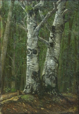 Beech forest in summer, , Ion Andreescu