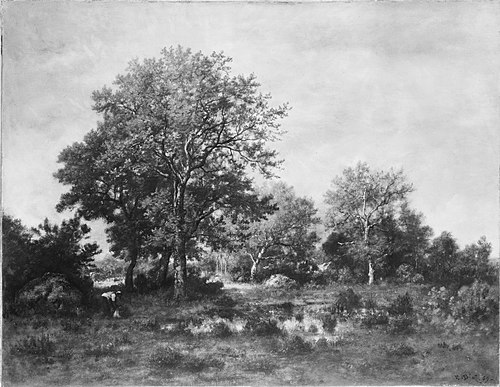 Fontainebleau Forest, 1869, Narcisse Díaz de la Peña