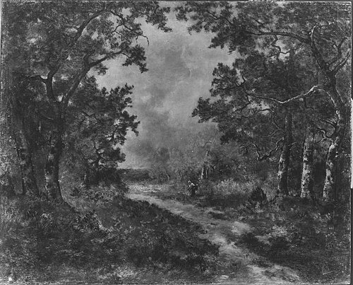 Schneise im Wald von Fontainebleau (Nachahmer), , Narcisse Virgilio Díaz