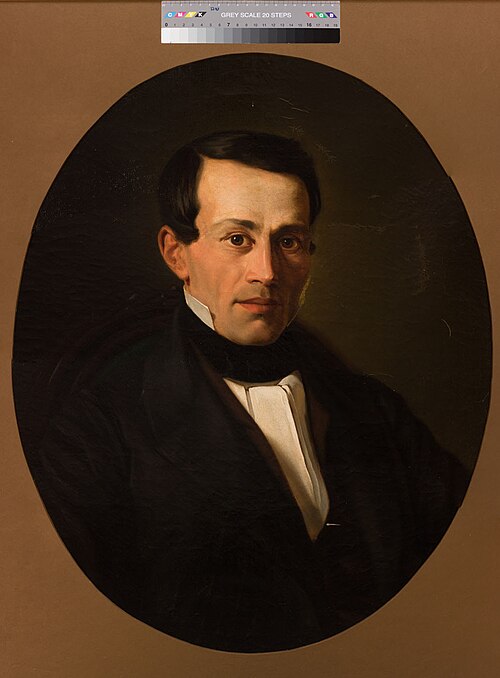 Akadeemik J. K. Groti portree, 1853, Johann Köler
