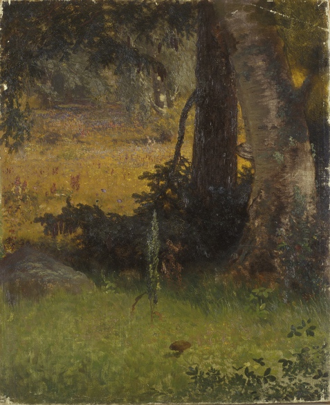 Maastik (etüüd tööle "Truu valvur"), , Johann Köler