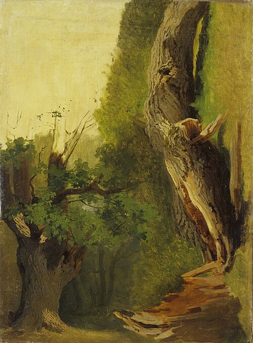 Vanad puud, , Johann Köler