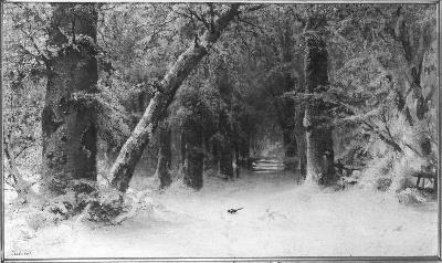 Bos in de winter, 1871, Sophus Jacobsen