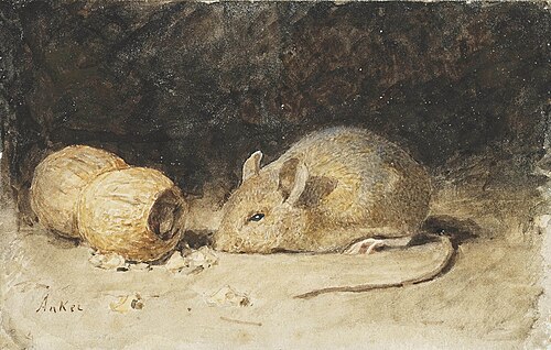 A mouse with a peanut, , Albert Anker