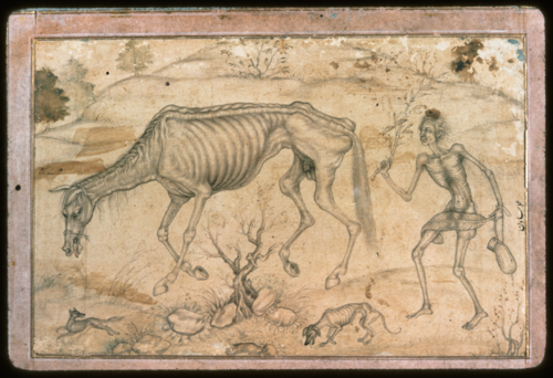 Majnun and the emaciated horse, 1612, Basawan