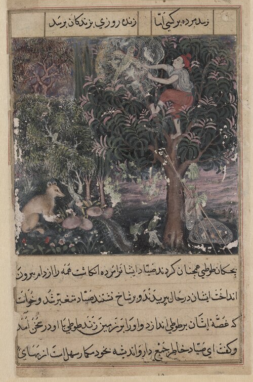 The hunter throws away the baby parrots, who pretend to be dead, and captures the mother, from a Tut, 1560, Basawan