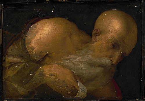 Portrait d'homme, 1520, Benvenuto Tisi