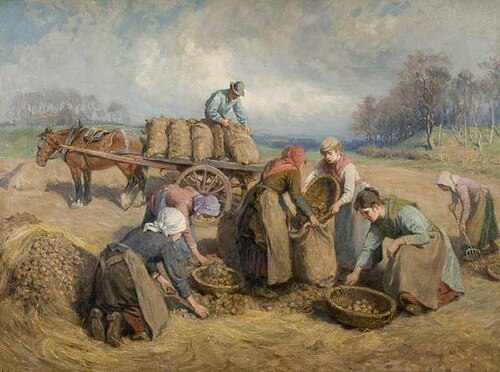 Potato Gatherers, Northumberland, 1903, Ralph Hedley