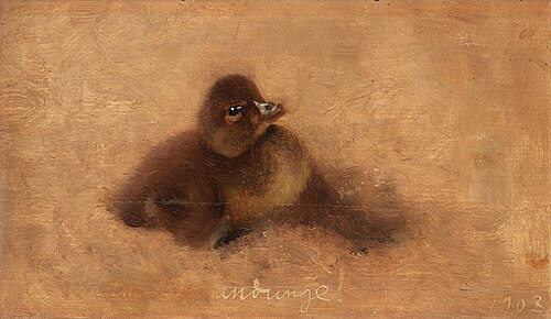 Duckling, 1903, Bruno Liljefors