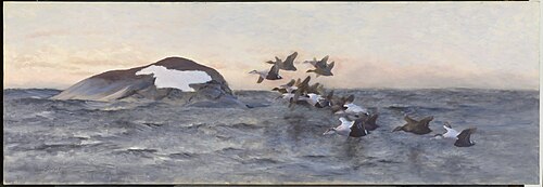 Eider ducks flying near a cliff, 1928, Bruno Liljefors