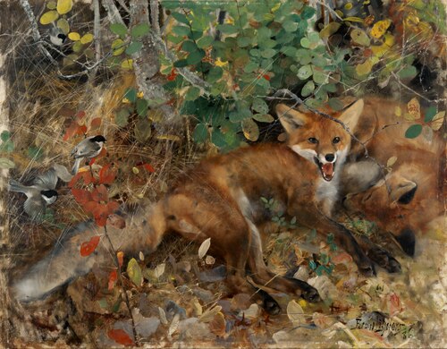 Foxes, 1886, Bruno Liljefors