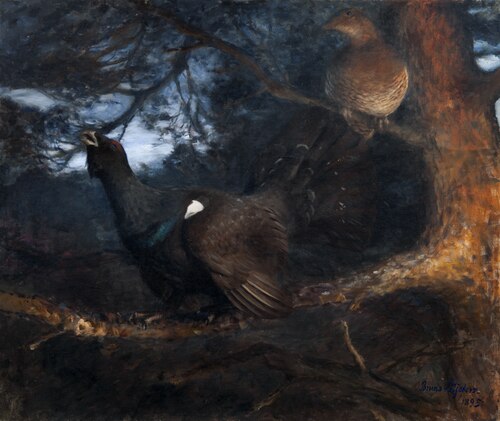 The mating of the Capercaillies, 1895, Bruno Liljefors