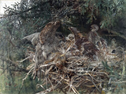 Hawk's Nest, 1886, Bruno Liljefors