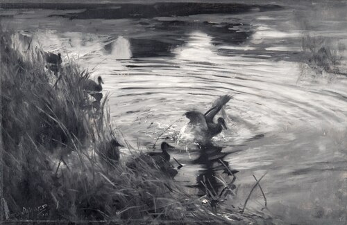 Wild Ducks among Reeds, 1890, Bruno Liljefors