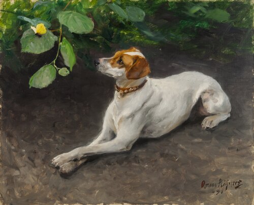 Portrait of a Dog, 1891, Bruno Liljefors
