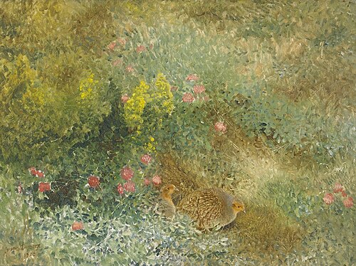 Grey Partridges, 1909, Bruno Liljefors