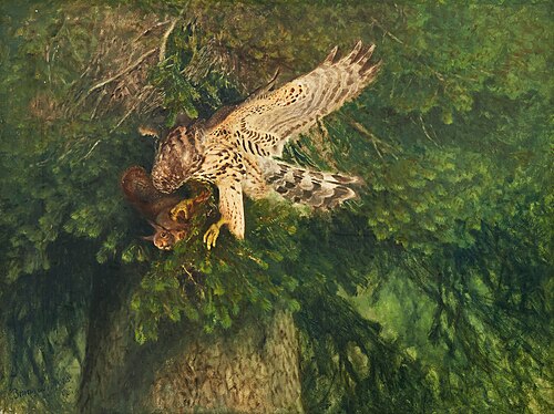 Goshawk and squirrel, 1905, Bruno Liljefors