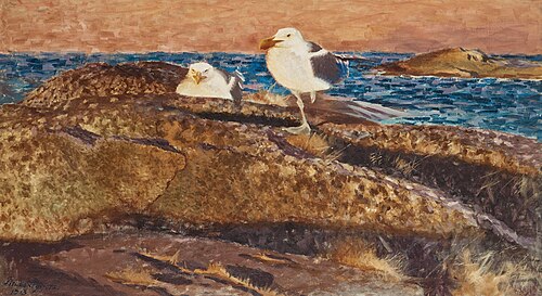 European herring gulls, 1913, Bruno Liljefors