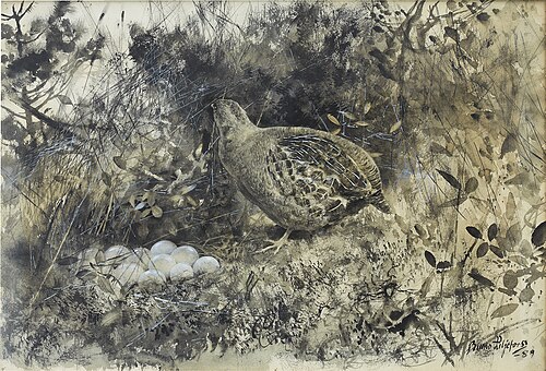 Grey partridge at nest, 1889, Bruno Liljefors