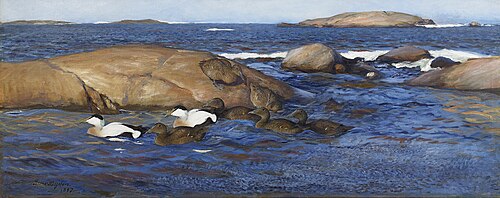 Common eiders on rocky islets, 1897, Bruno Liljefors