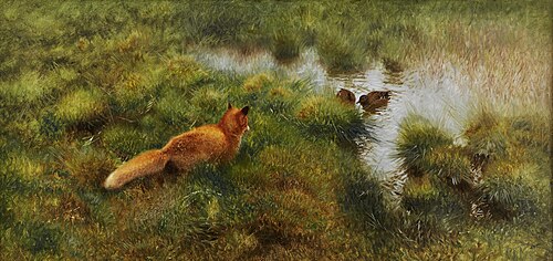 Fox stalking ducks at a water course, 1907, Bruno Liljefors