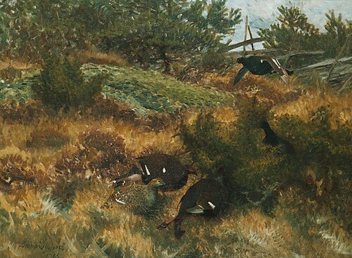 Black Grouse in autumn landscape, 1913, Bruno Liljefors