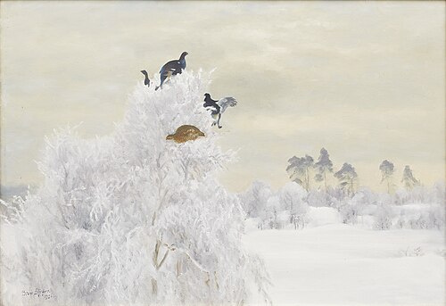 Black grouse in tree top, 1926, Bruno Liljefors