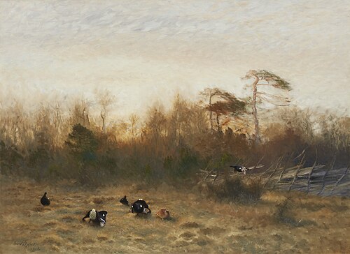 Black grouse lekking, 1918, Bruno Liljefors