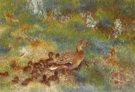 Duck family, 1911, Bruno Liljefors