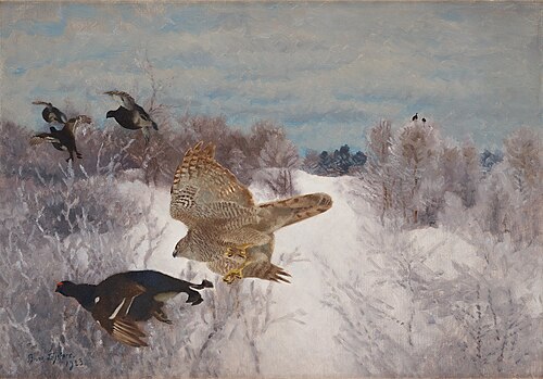 Sparrowhawk hunting black grouse cock, 1923, Bruno Liljefors