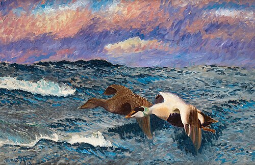 A flying pair of eiders, 1913, Bruno Liljefors