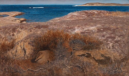 Brooding eider, 1903, Bruno Liljefors