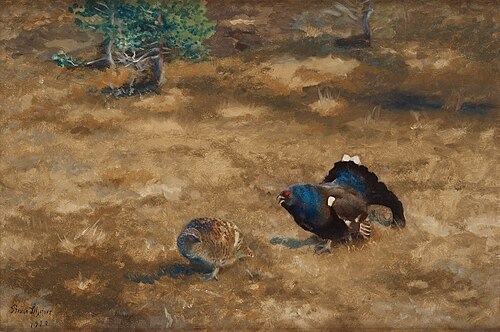 Black grouse lekking, 1920, Bruno Liljefors