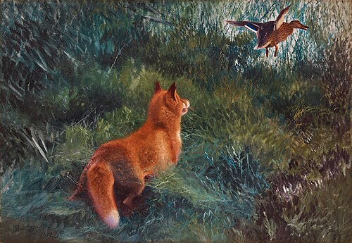 Fox and mallard, 1912, Bruno Liljefors