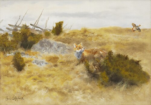 Fox and grey partridge, 1918, Bruno Liljefors