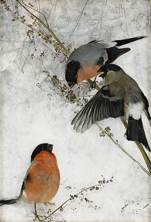 Bullfinches, 1885, Bruno Liljefors