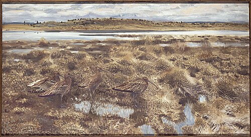 Curlews, 1913, Bruno Liljefors